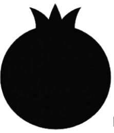 cropped-Pasted-image-e1766070966756